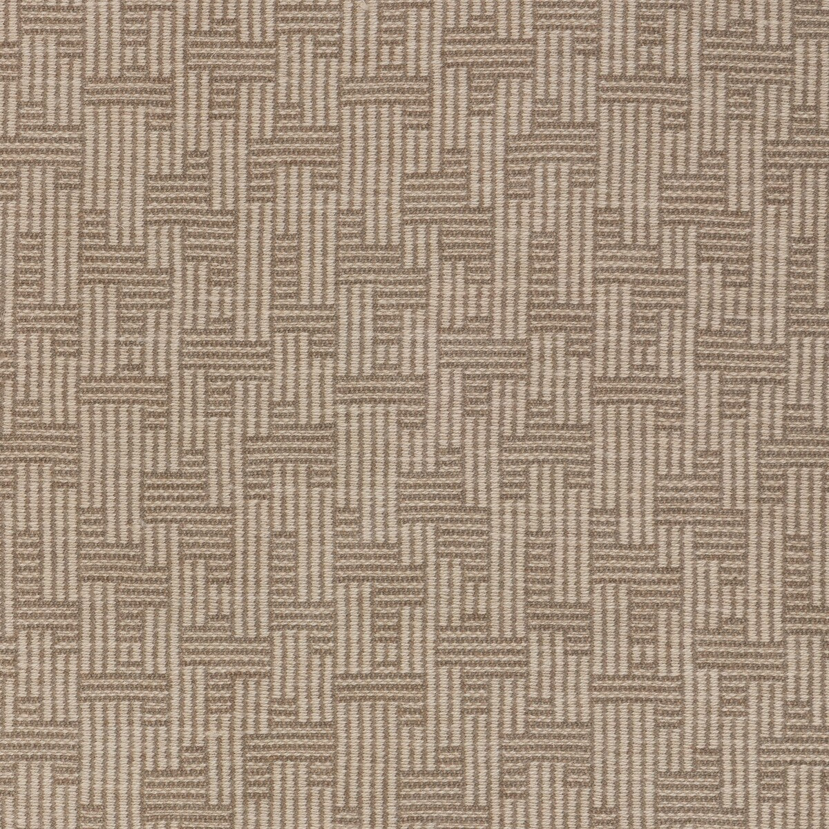 Orbis-Oat/Doe