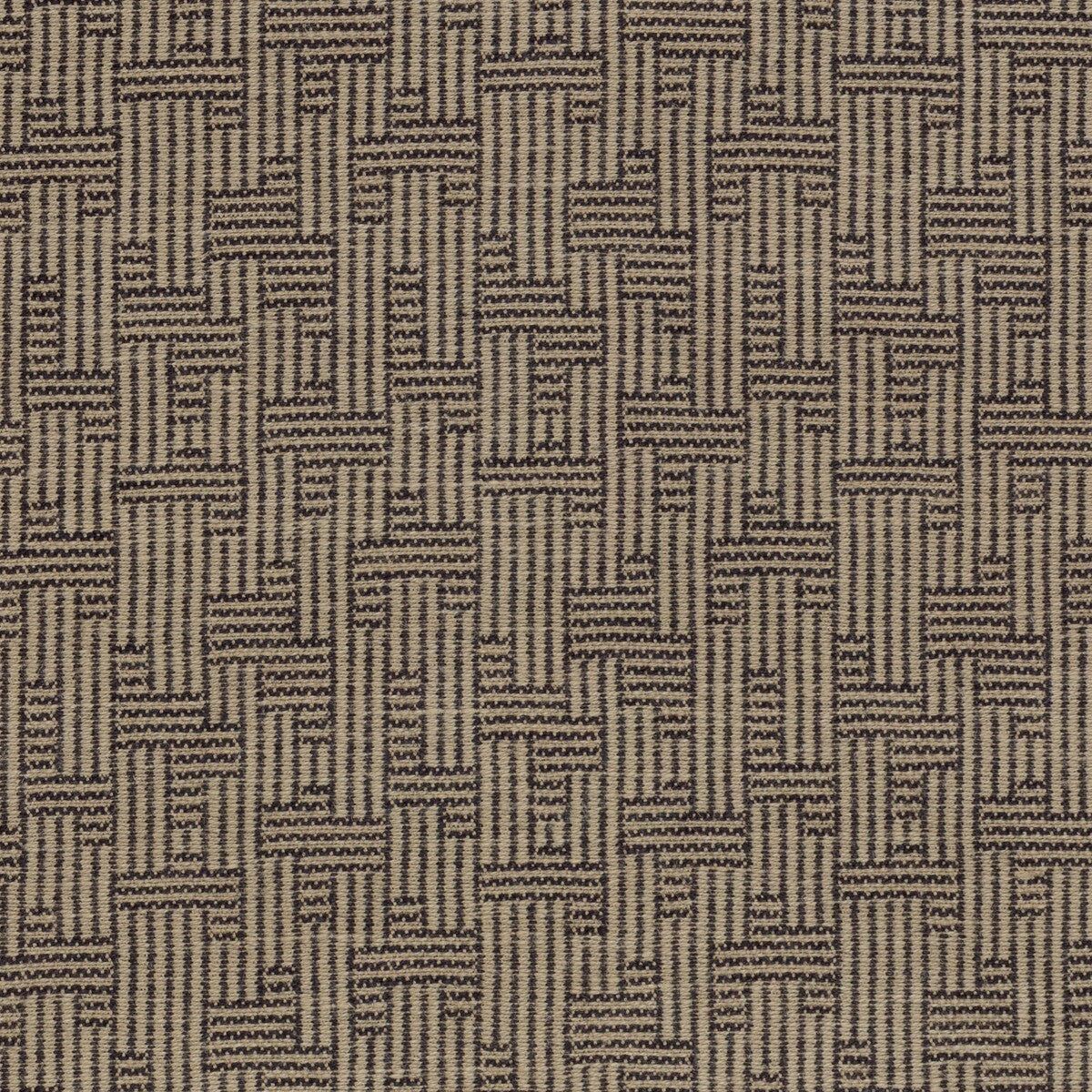 Orbis-Taupe/Vortex