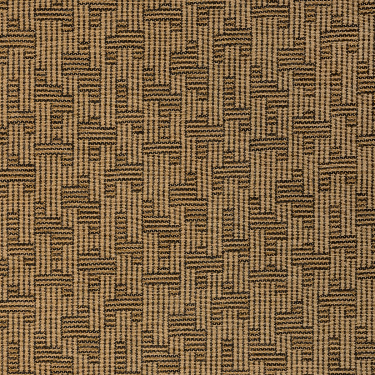 Orbis-Sesame/Tar