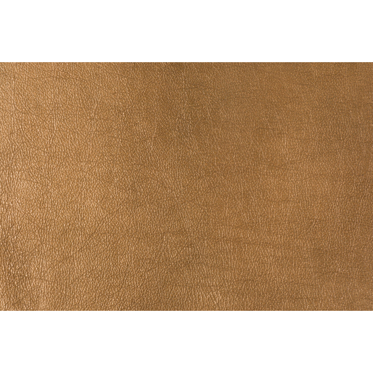 Trophy-Copper