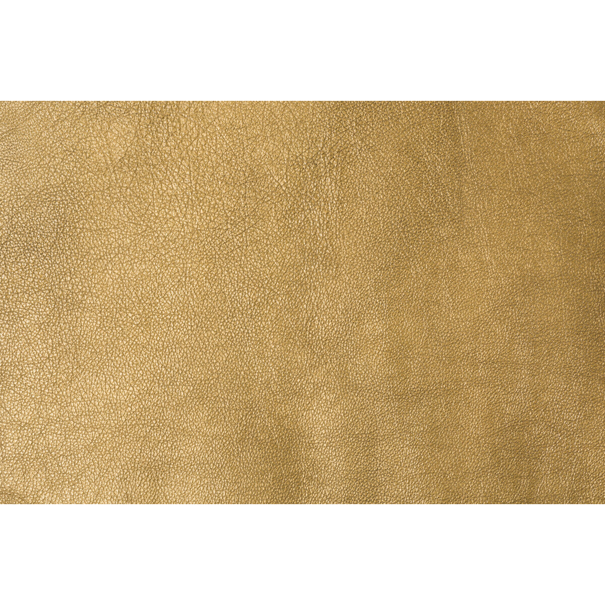 Trophy-Gold