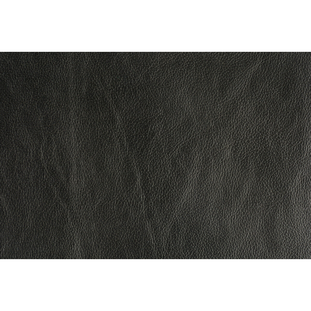 Trophy-Graphite