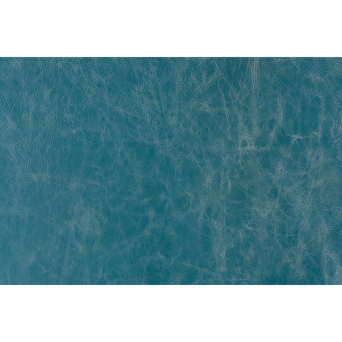 Notorious-Teal