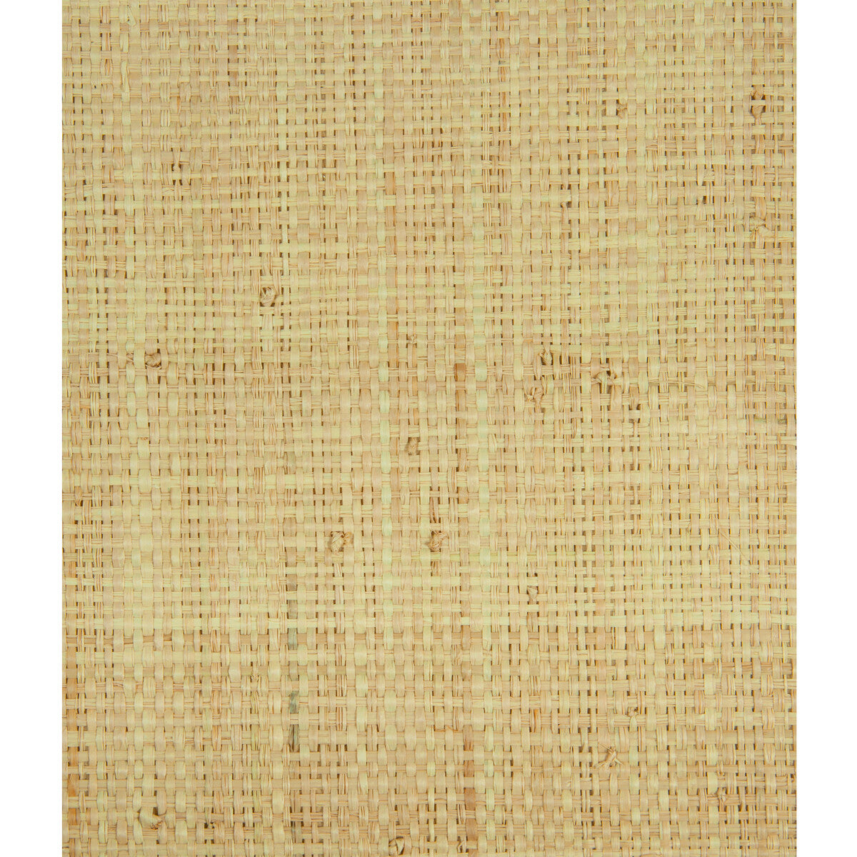 Heavy Raffia-Natural