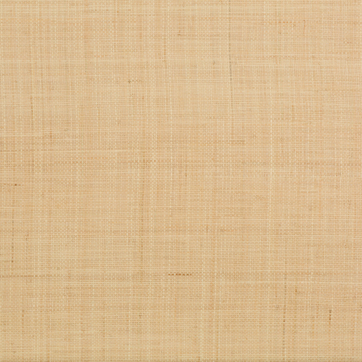 Fine Raffia-Natural – Egg & Dart PDQ