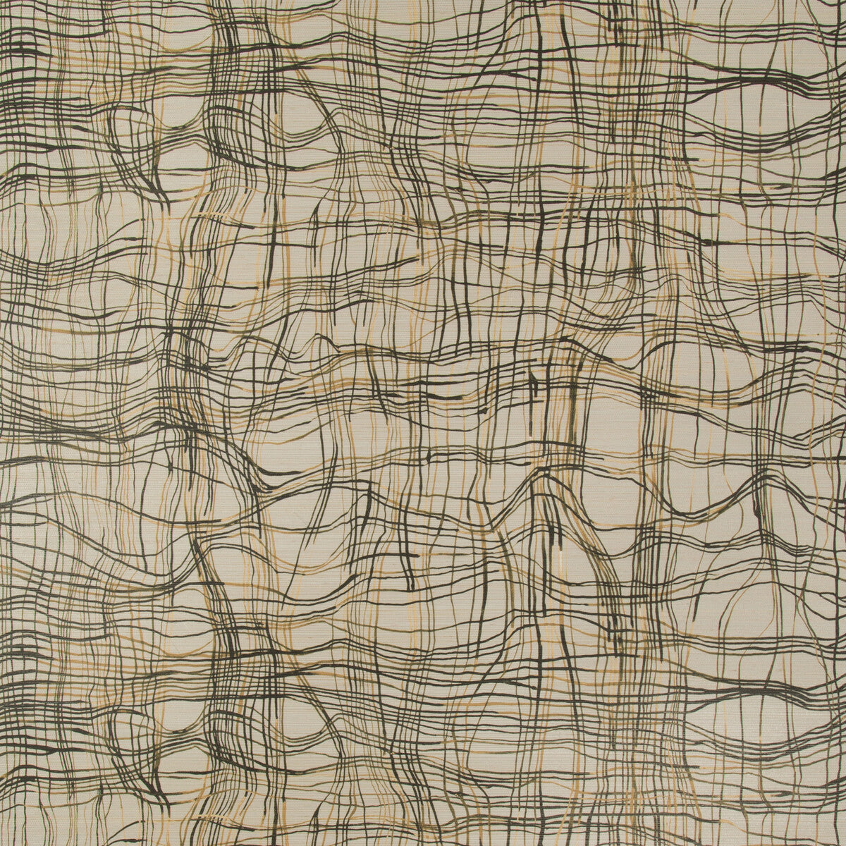 Entangle Paper-Charred