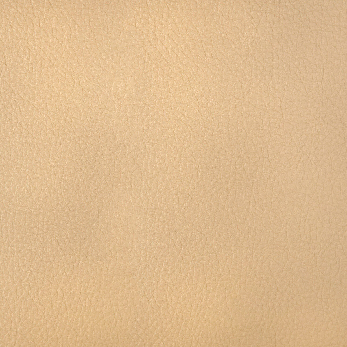 Kravet Design-Harmony-11