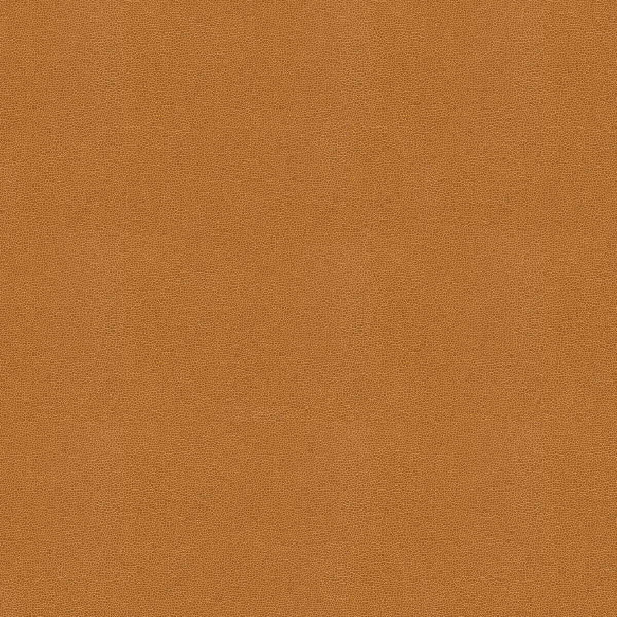 Impact-Caramel