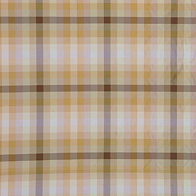 Ascot Check-Natural