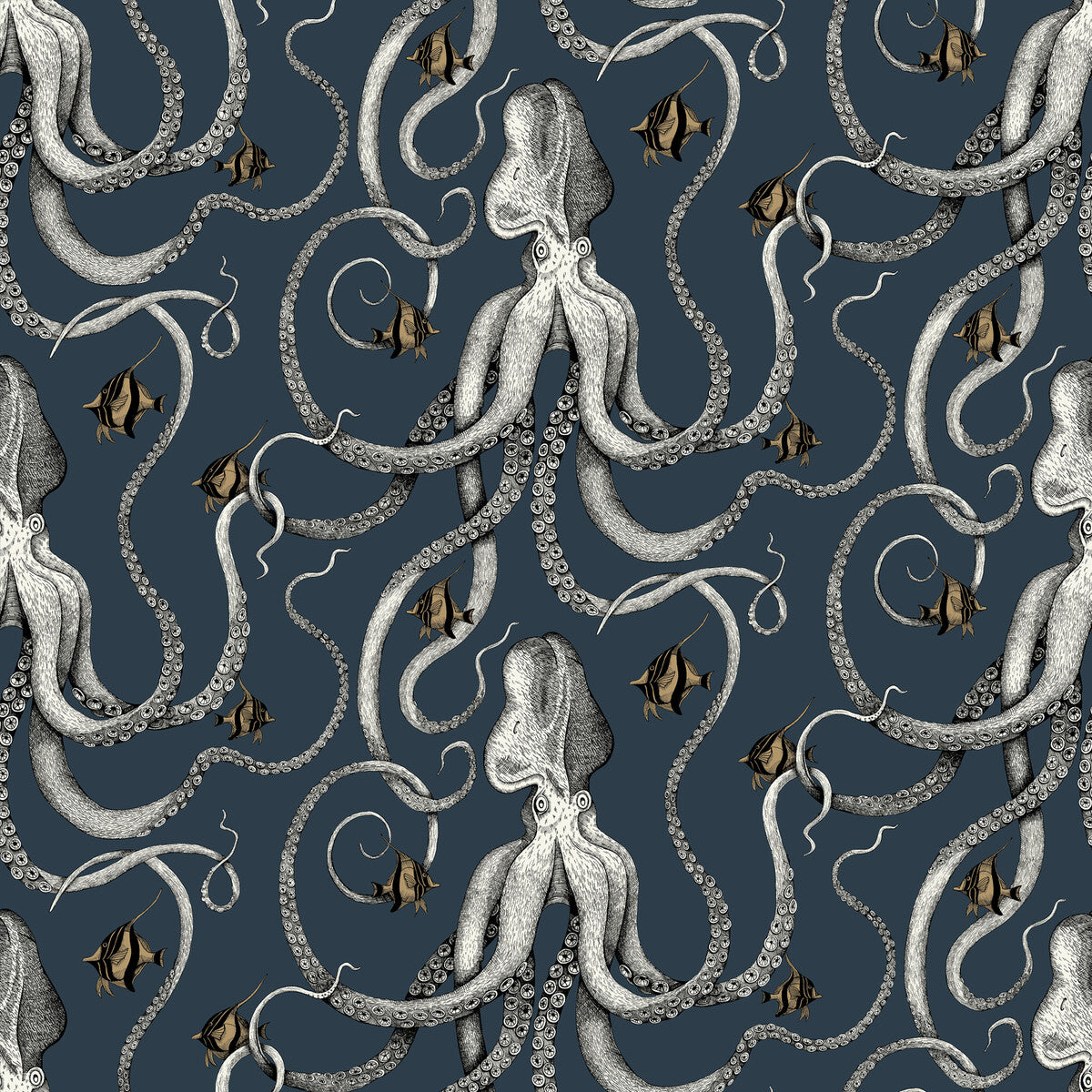 Octopoda-01