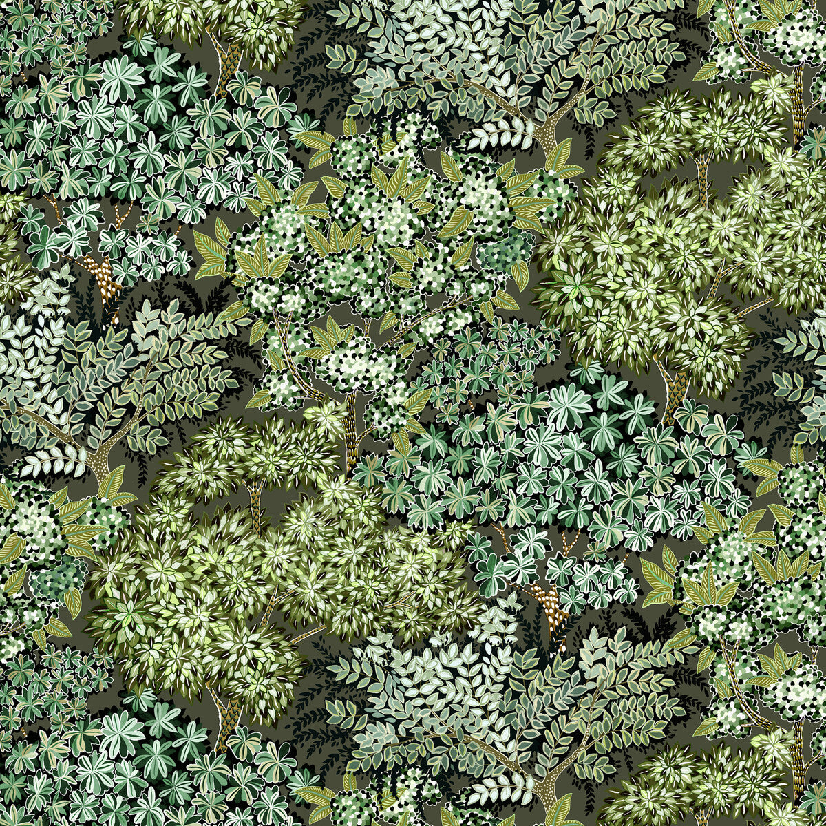 Broccoli Canpoy-11