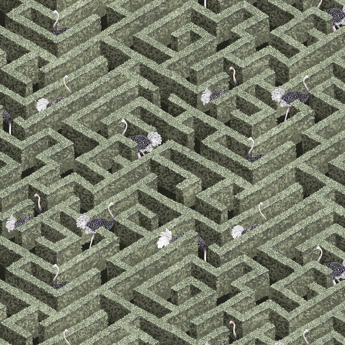 Labyrinth With Ostriches-01