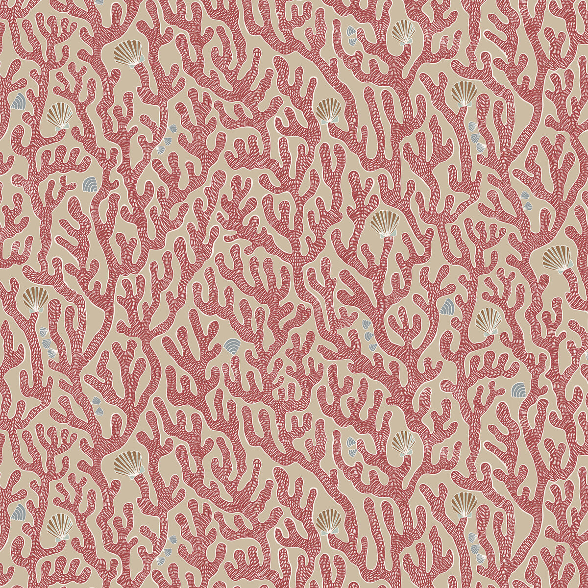 Coral-01