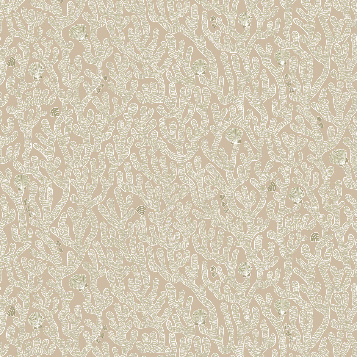 Coral-11