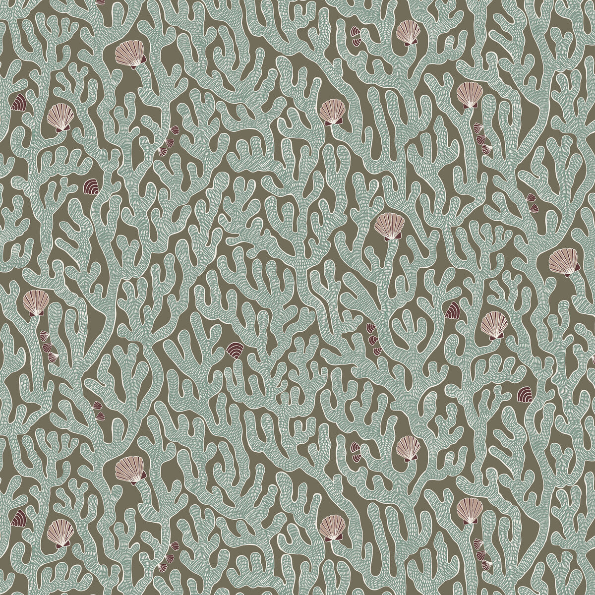 Coral-31