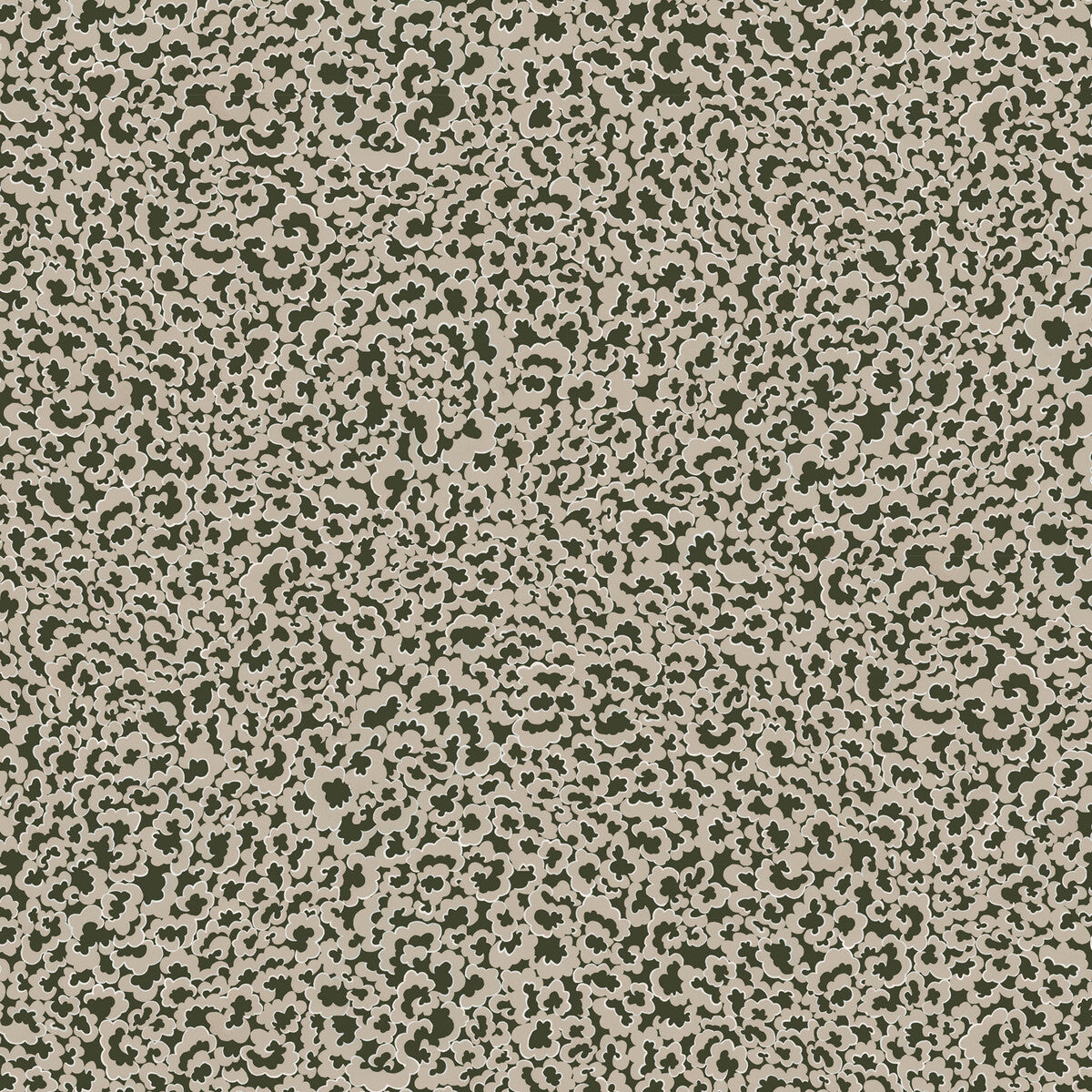 Clouds-11