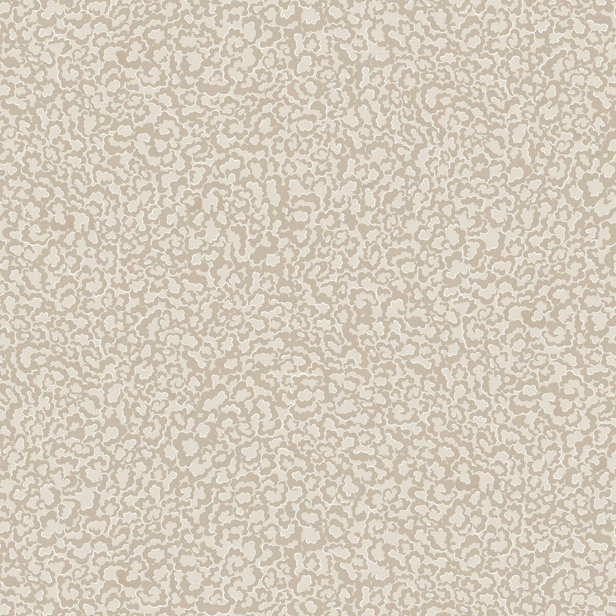 Clouds-21