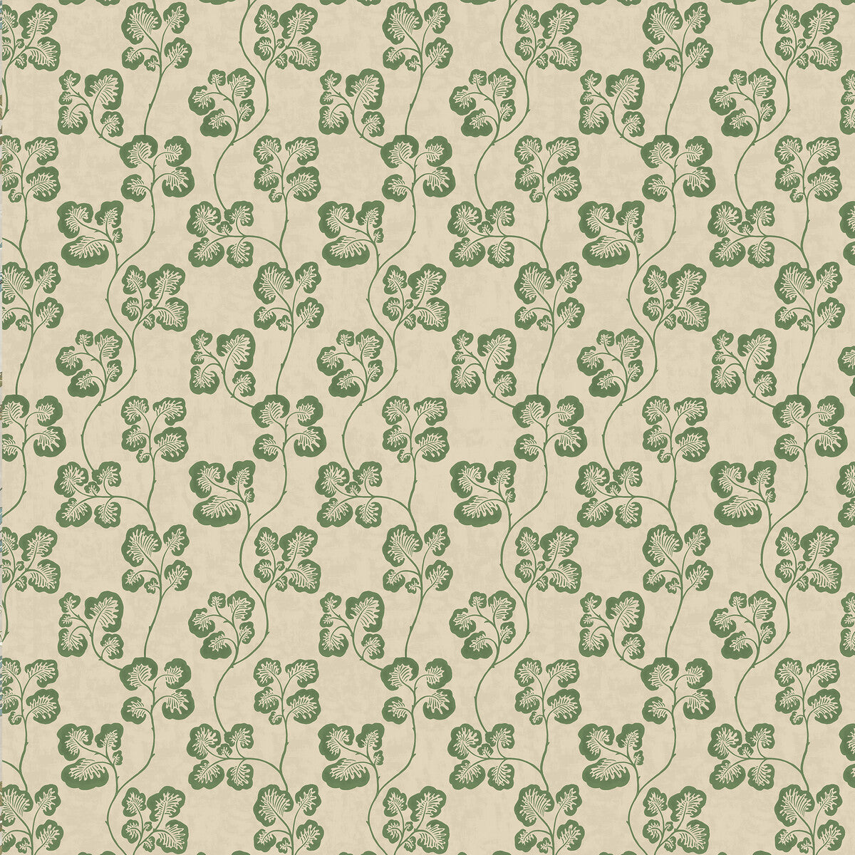 Cabbage Check Wp-01