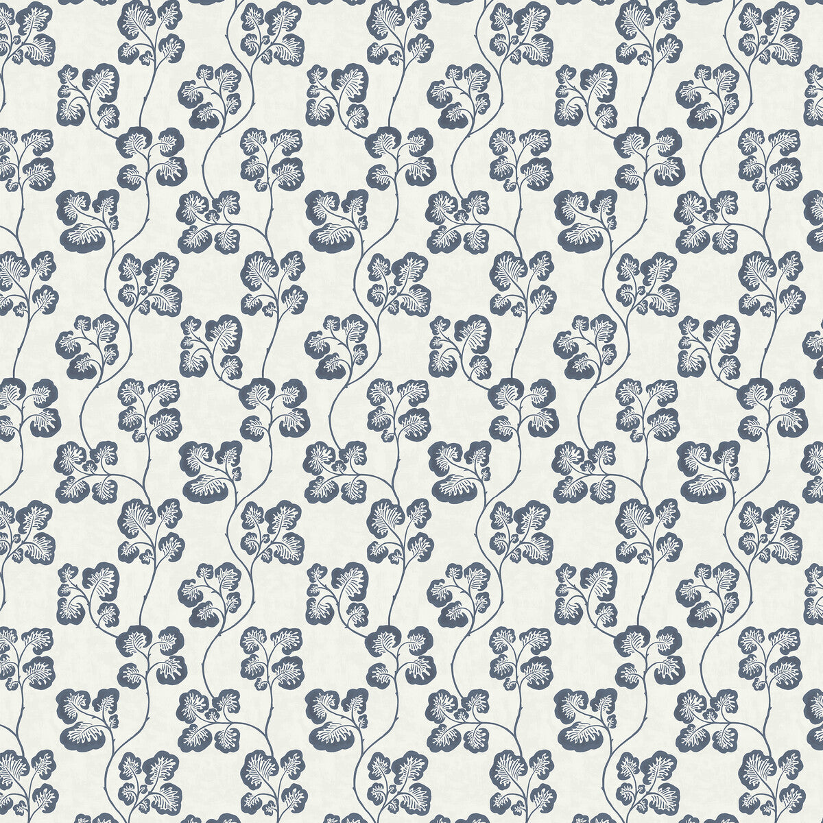 Cabbage Check Wp-41