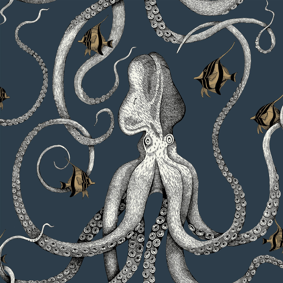 Octopoda Grand-01