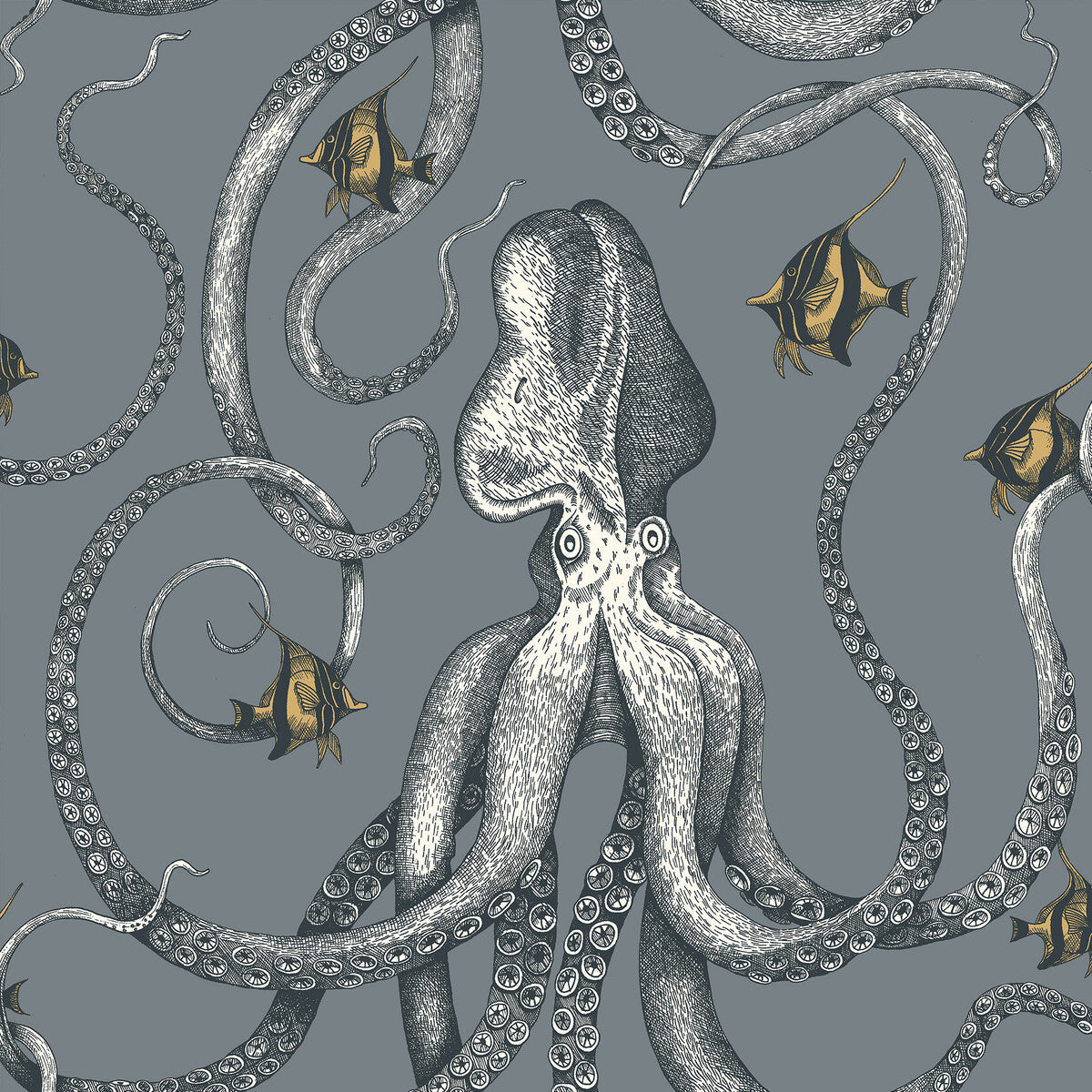 Octopoda Grand-11