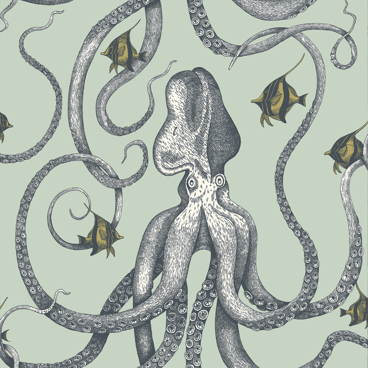 Octopoda Grand-21