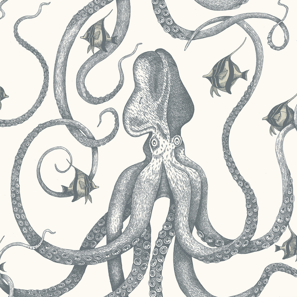 Octopoda Grand-31