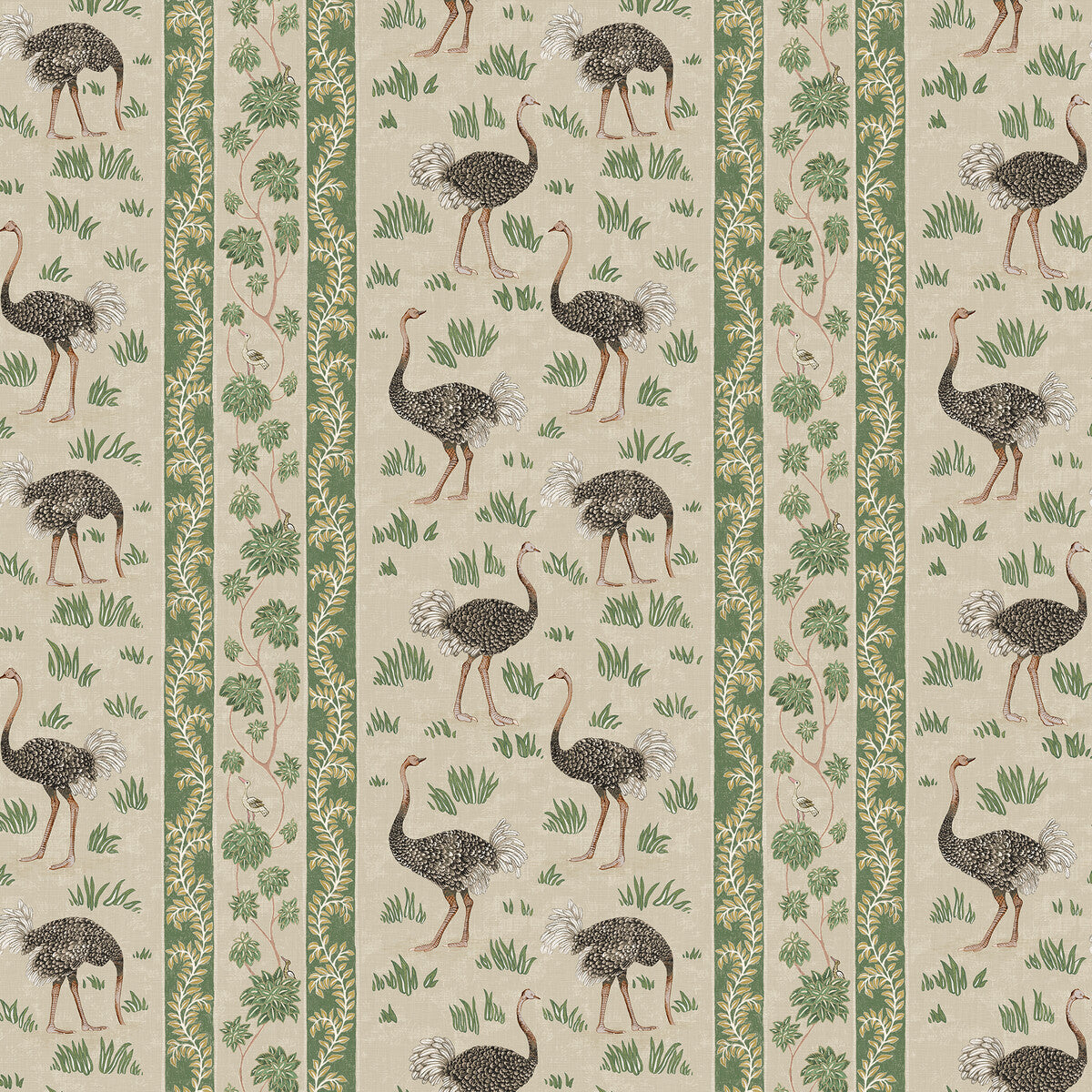 Ostrich Stripe-11