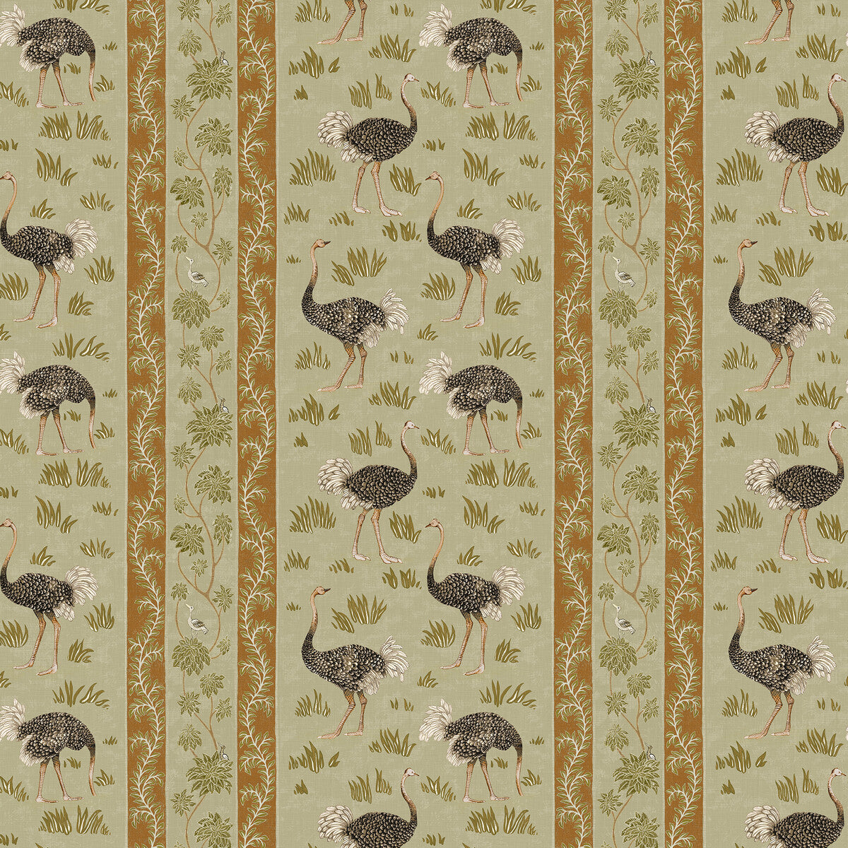 Ostrich Stripe-31