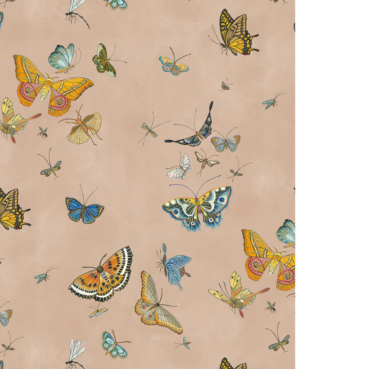 Butterflies-01