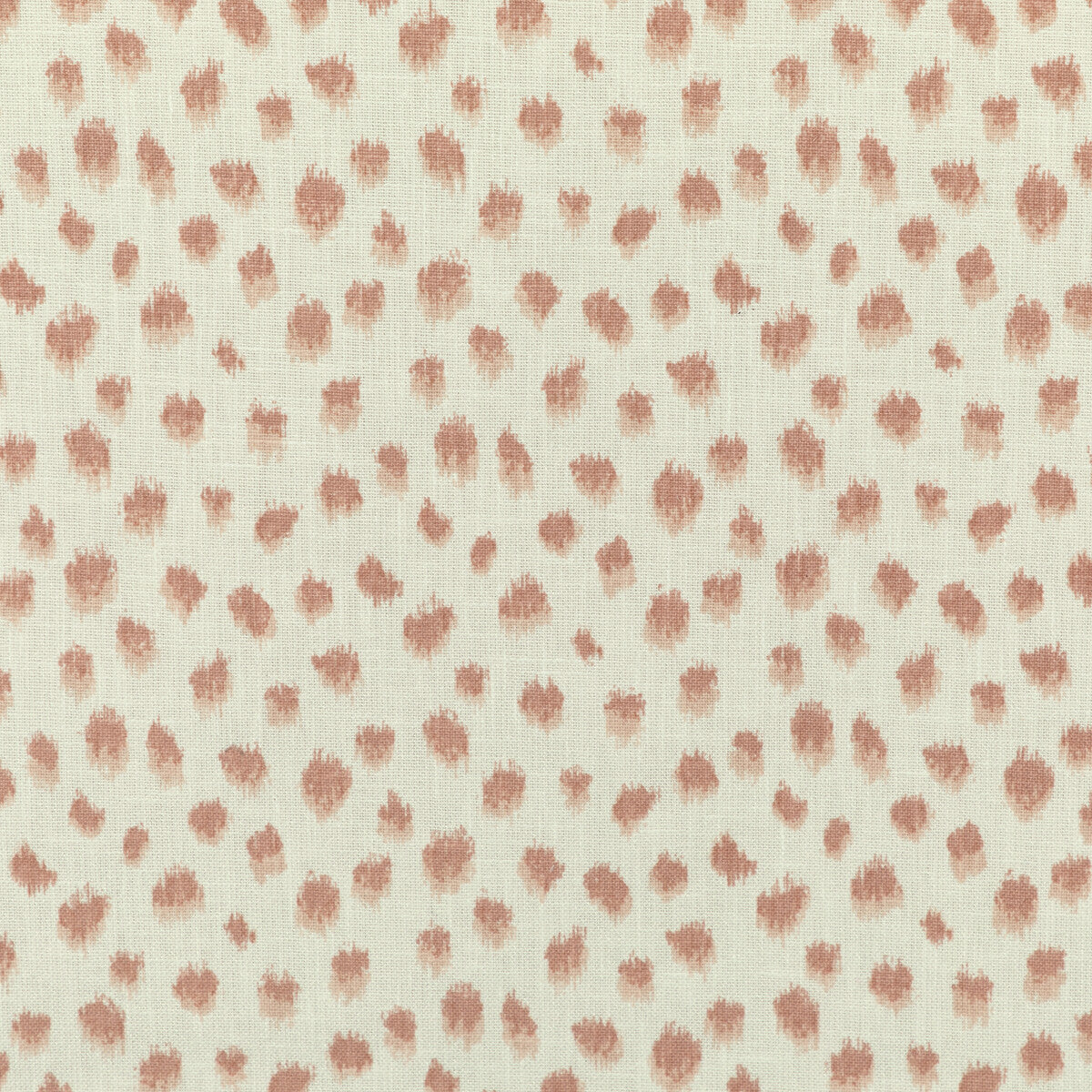 Kravet Basics-Jungleikat-17