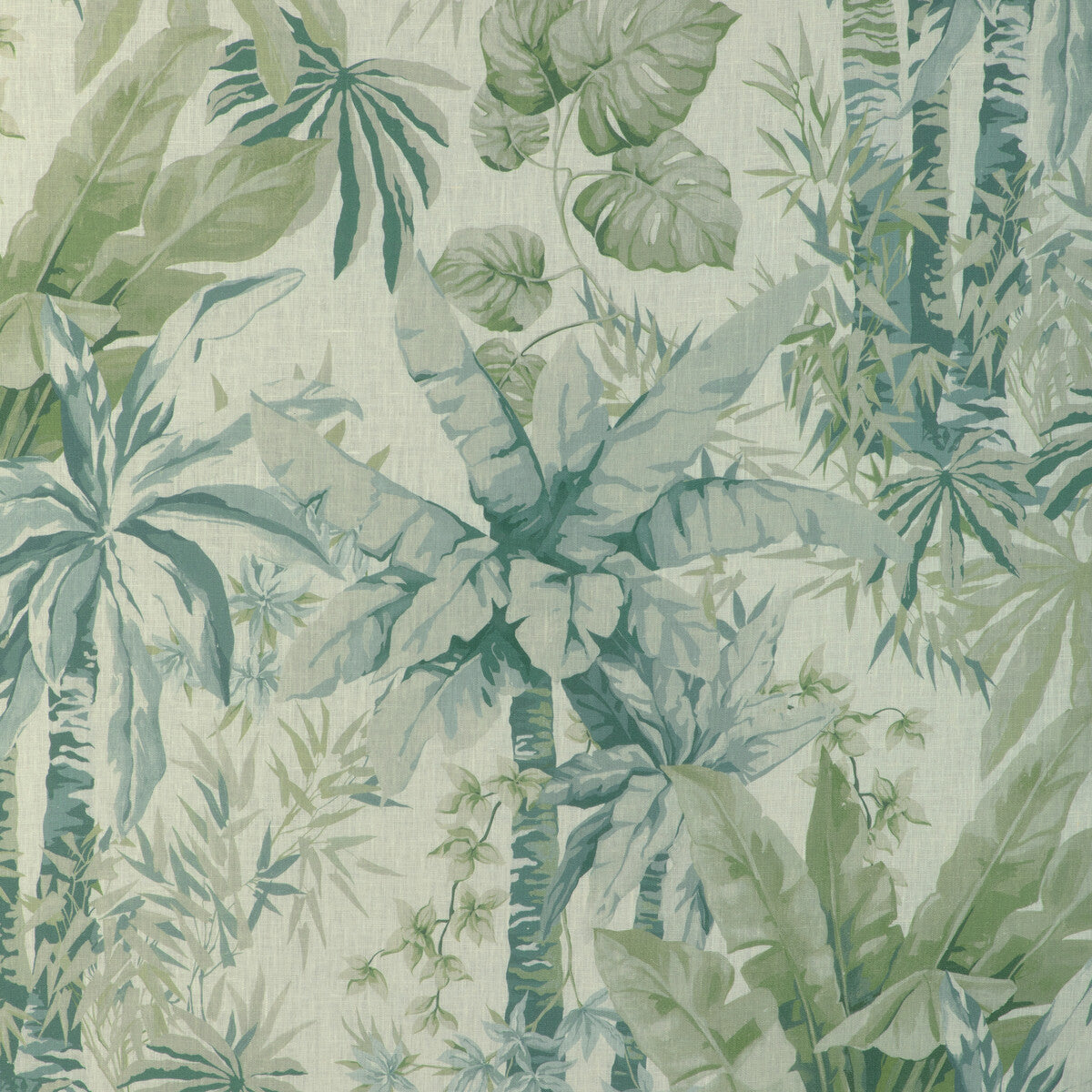 Junglewood-Blue Sage