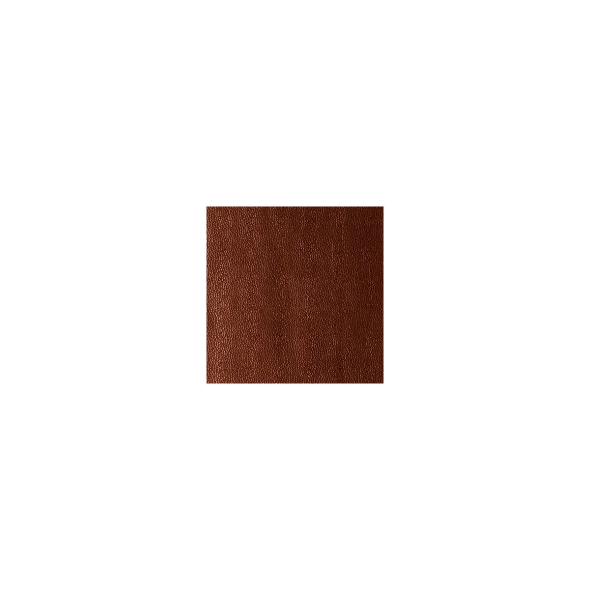 Kerinci-Cinnamon