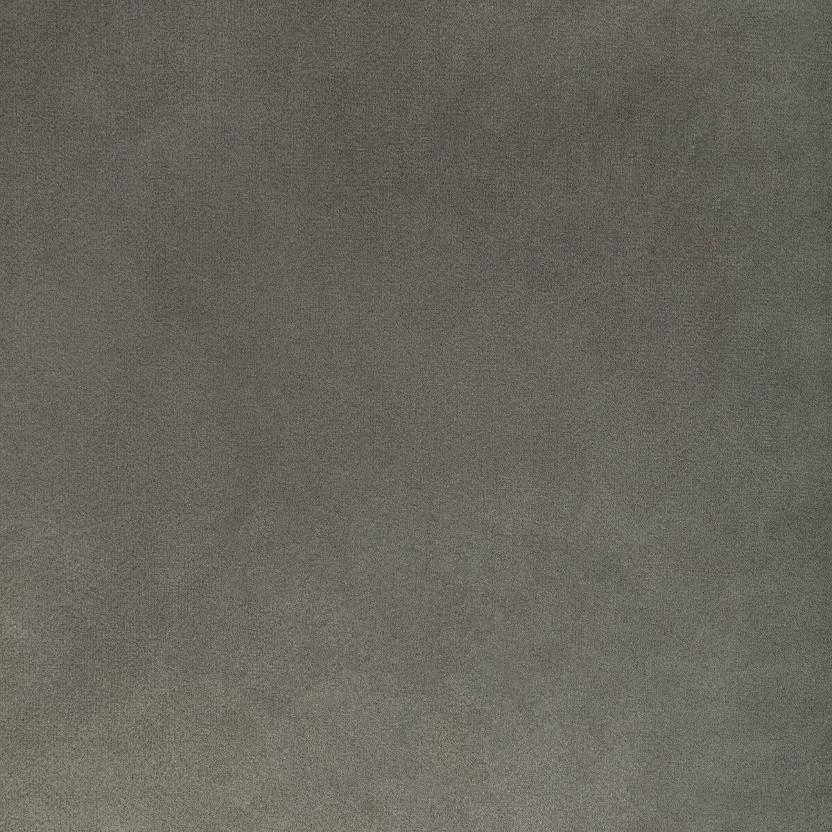 Rocco Velvet-Anise