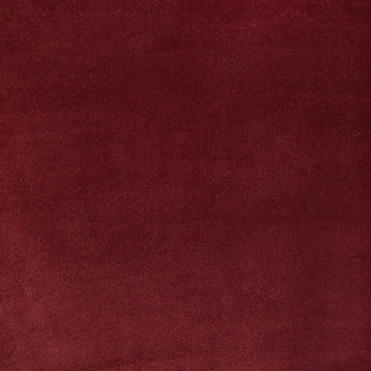 Rocco Velvet-Currant