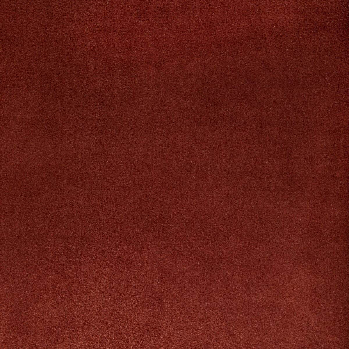Rocco Velvet-Clay