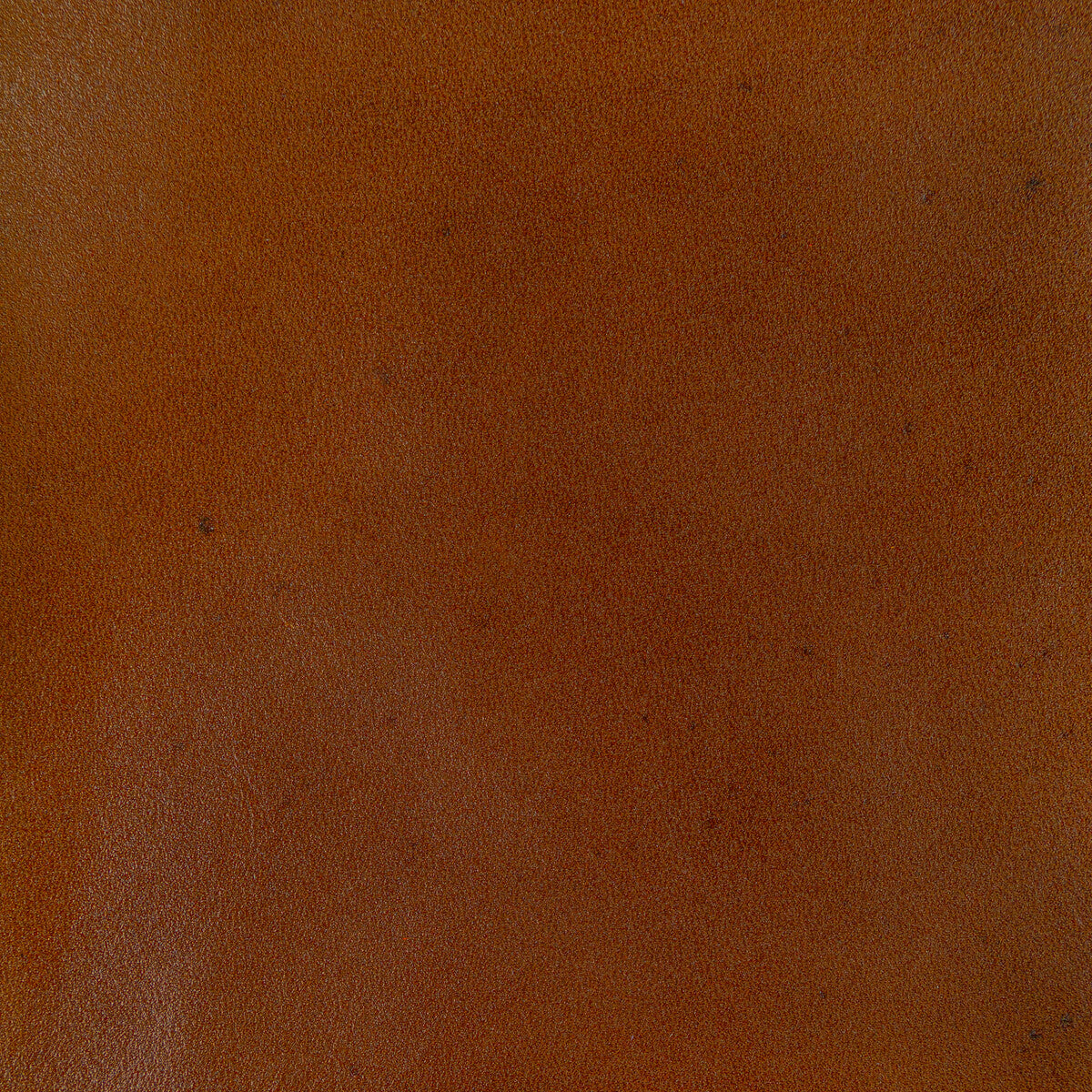Kravet Design-L-Adobe-Ochre