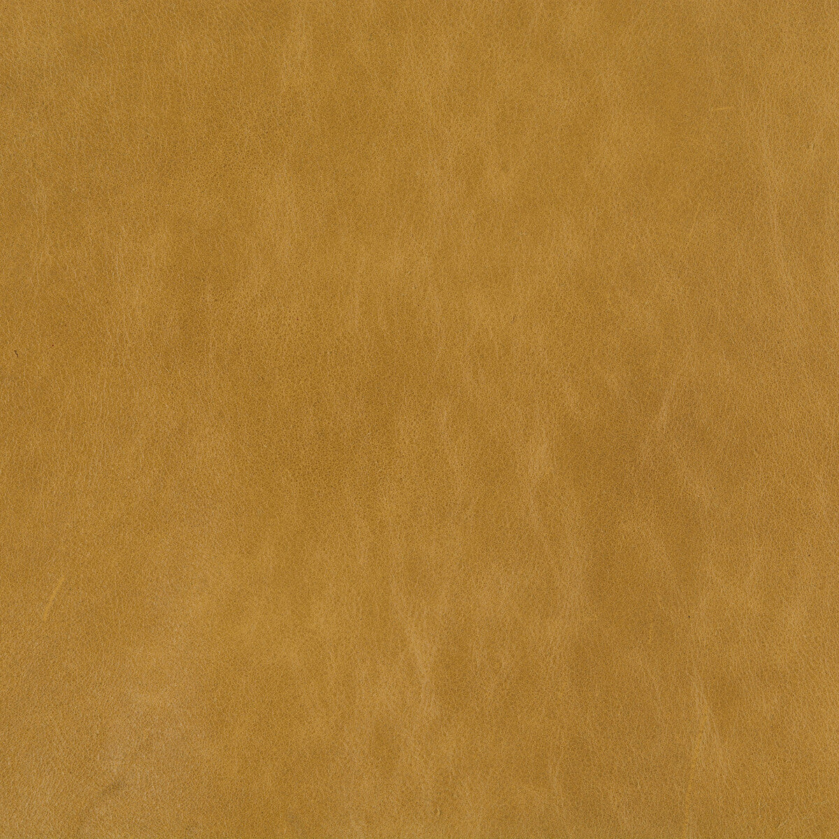 Kravet Basics-L-Beaumont-Flax
