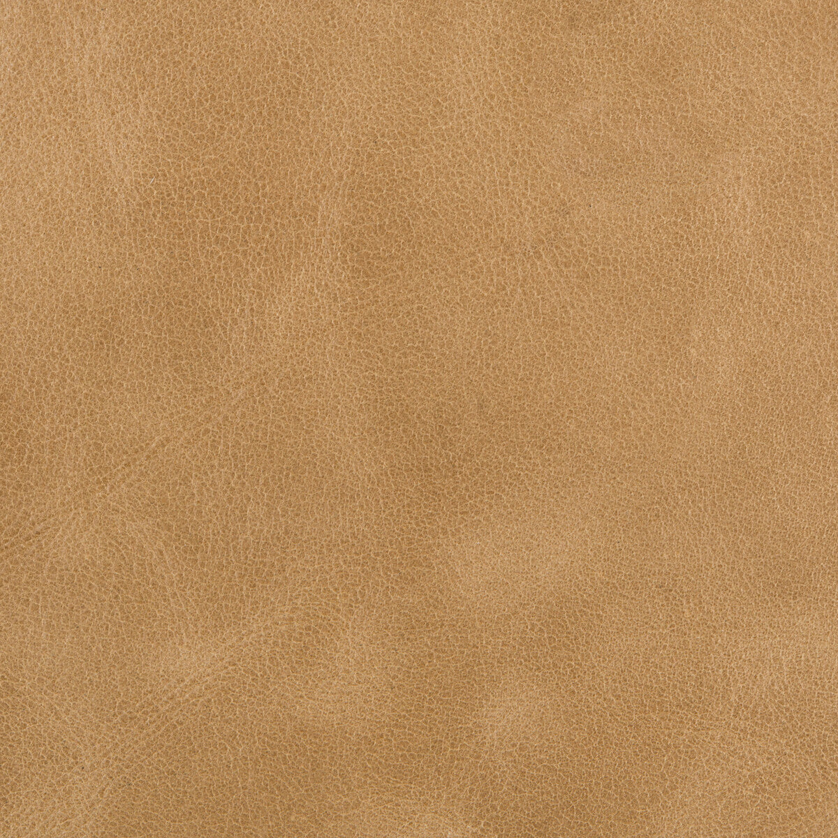 L-Bern-Scotch