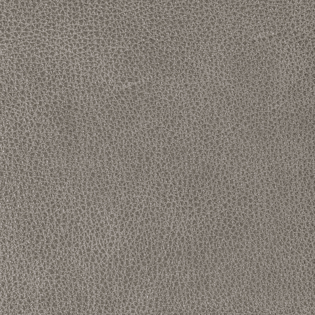 Kravet Design-L-Bison-Armor