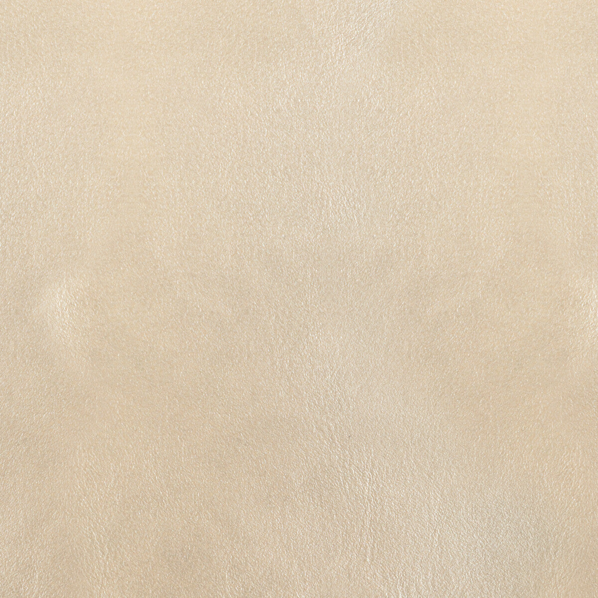 Kravet Design-L-Bota-Alabaster