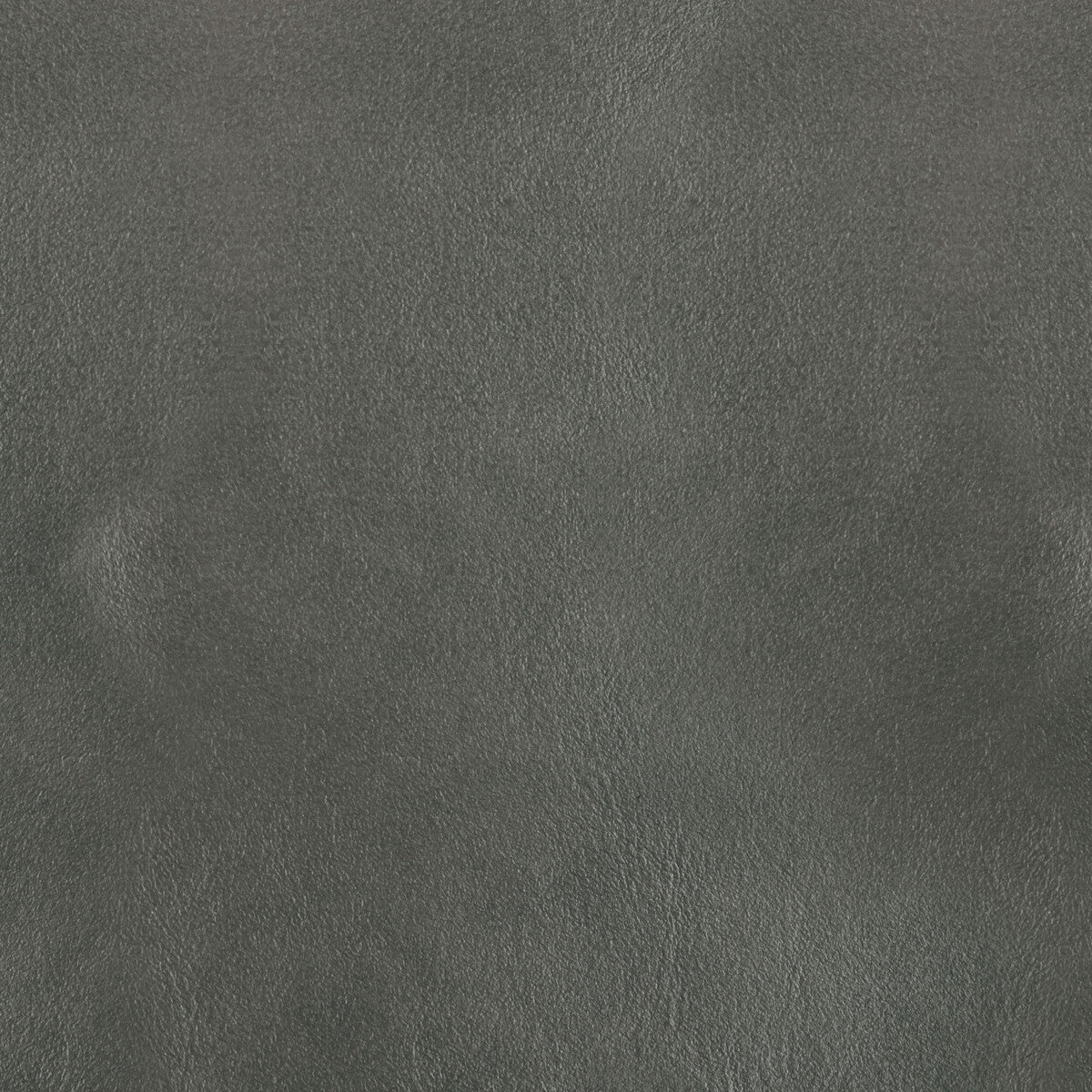 Kravet Design-L-Bota-Coin
