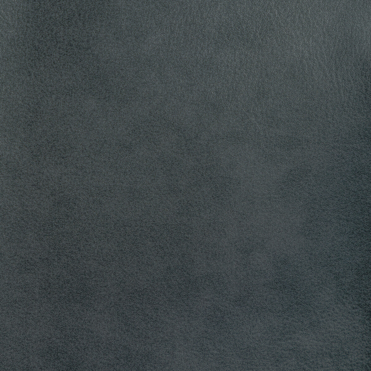 Kravet Design-L-Bota-Onyx