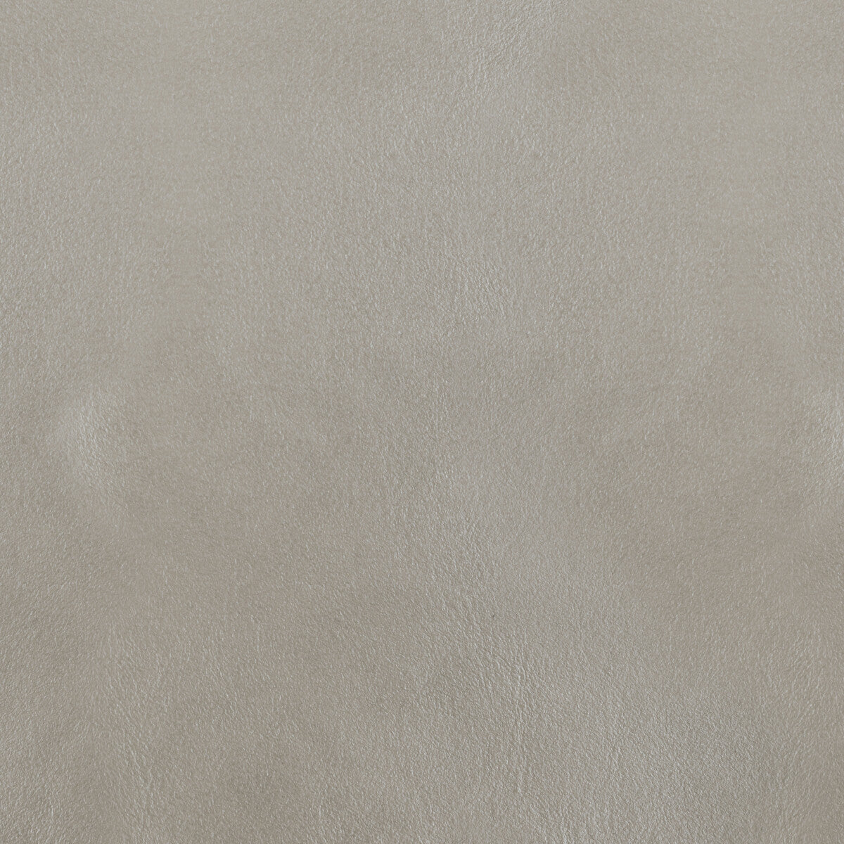 Kravet Design-L-Bota-Silver