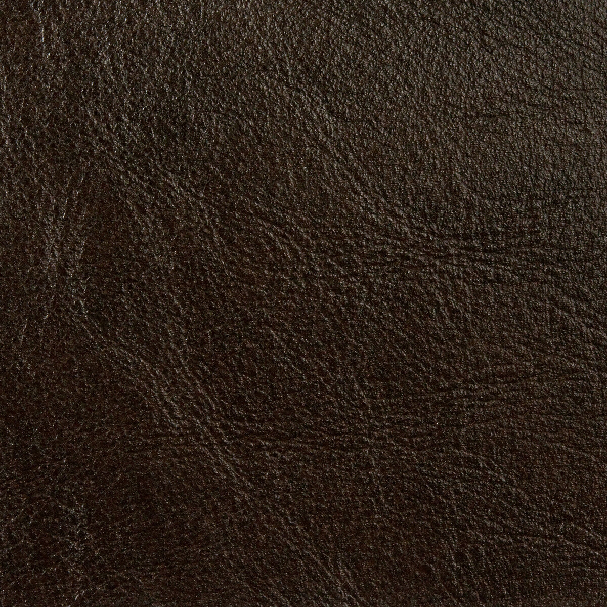 Kravet Couture-L-Brockway-Espresso