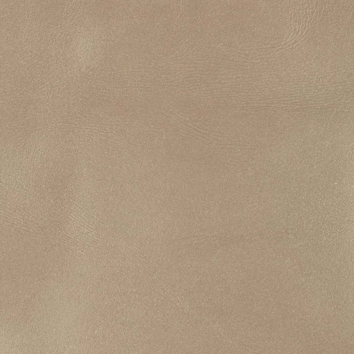 Kravet Couture-L-Brockway-Putty