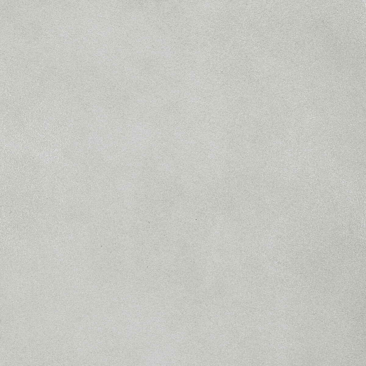 Kravet Design-L-Bronco-Needle