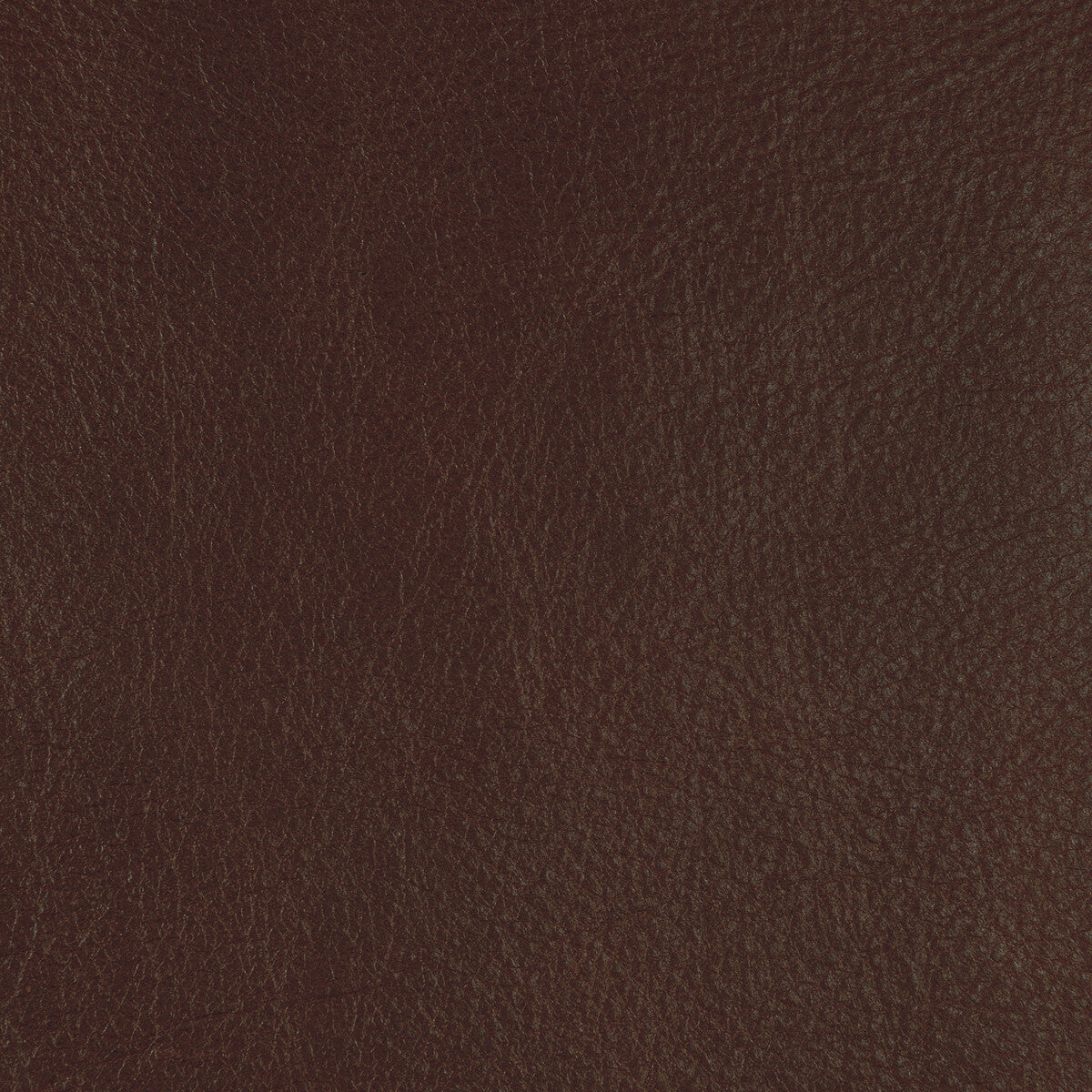 Kravet Design-L-Cannon-Hickory