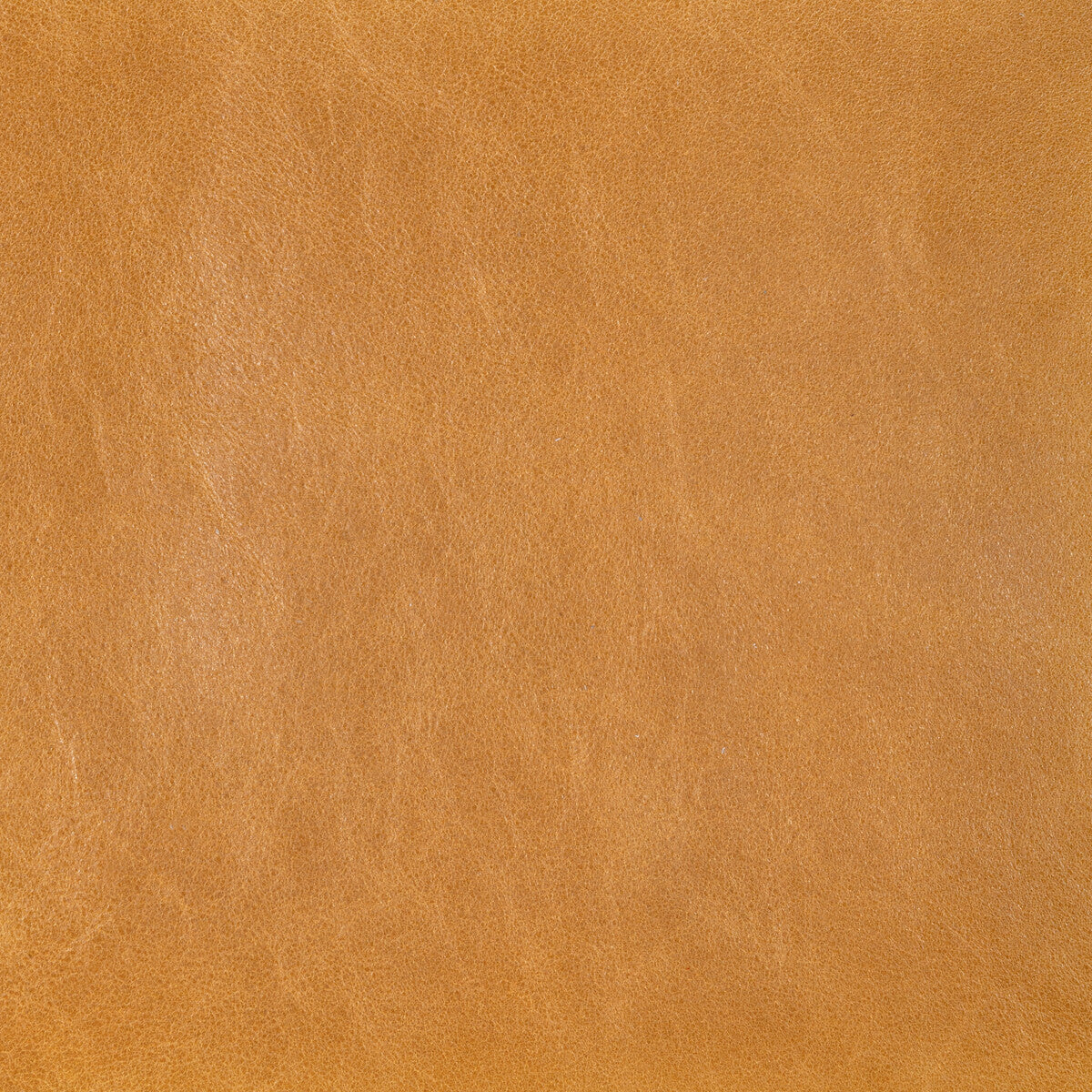 Kravet Design-L-Cannon-Ochre