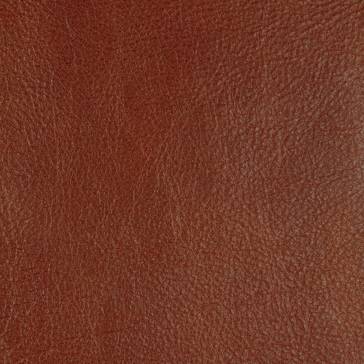 Kravet Design-L-Cannon-Sienna